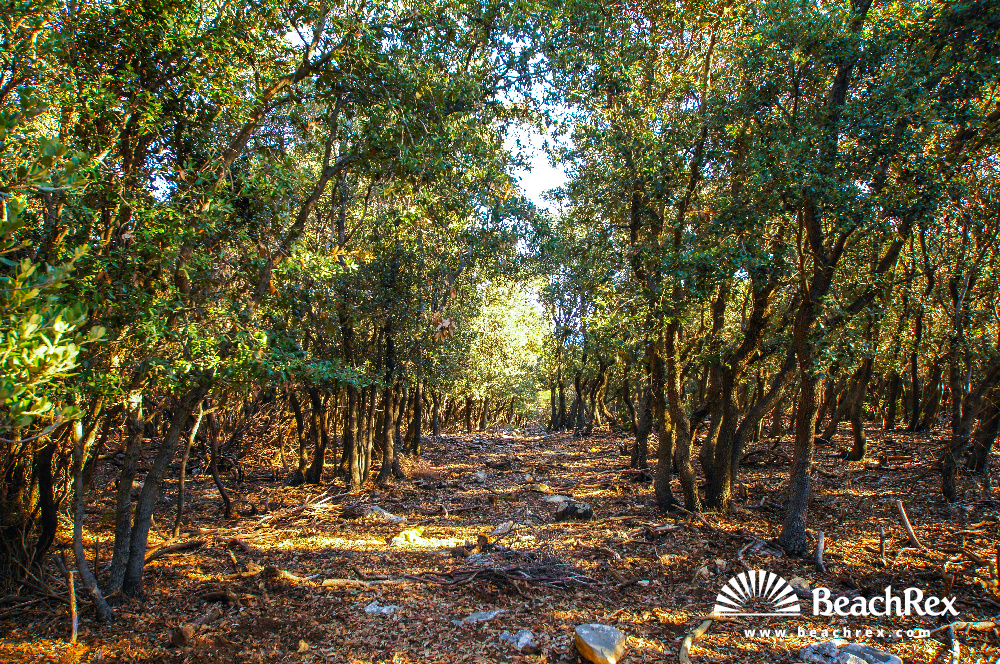 Croatia - Kvarner - Island Cres -  Punta Križa - Beach Edita