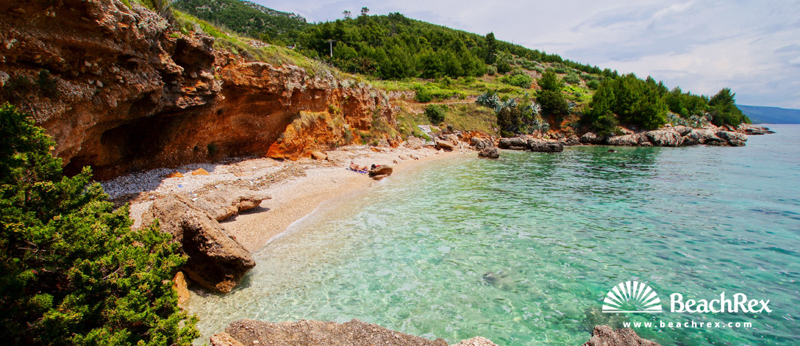 Croatia - Dalmatia  Split - Island Hvar -  Zavala - Beach Octopus