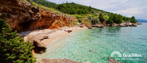 Croatia - Dalmatia  Split - Island Hvar -  Zavala - Beach Octopus