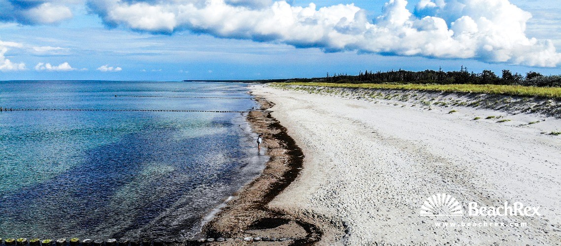 Deutschland - MecklenburgVorpommern -  Ahrenshoop - Strand Ahrenshoop
