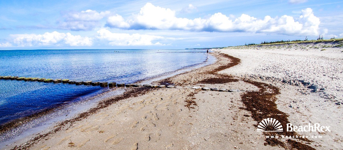 Deutschland - MecklenburgVorpommern -  Ahrenshoop - Strand Ahrenshoop