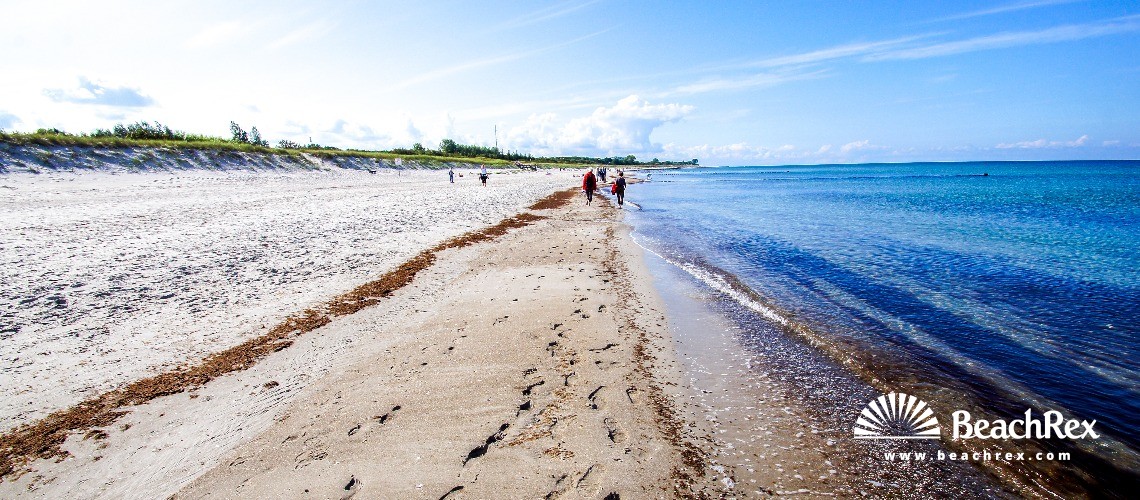 Deutschland - MecklenburgVorpommern -  Ahrenshoop - Strand Ahrenshoop