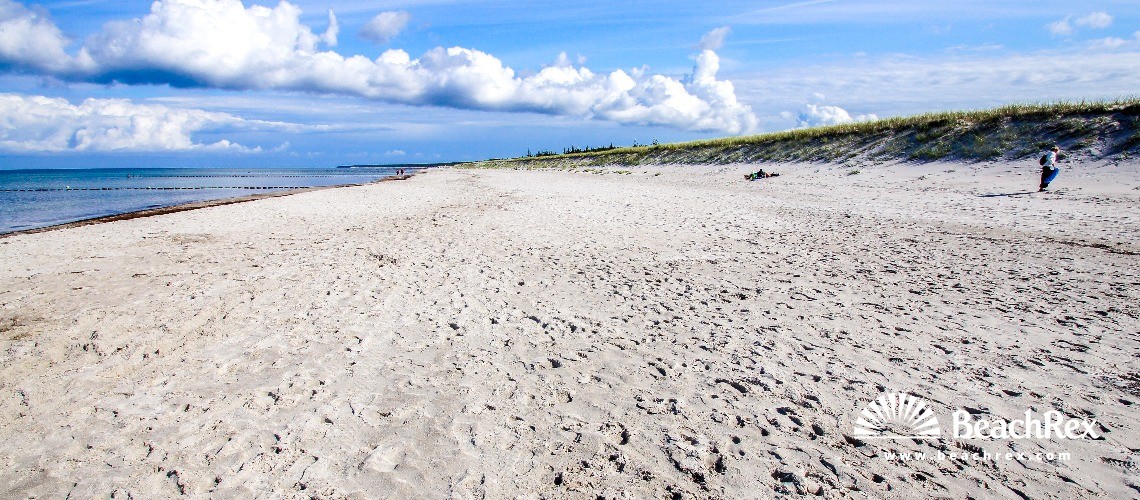 Deutschland - MecklenburgVorpommern -  Ahrenshoop - Strand Ahrenshoop