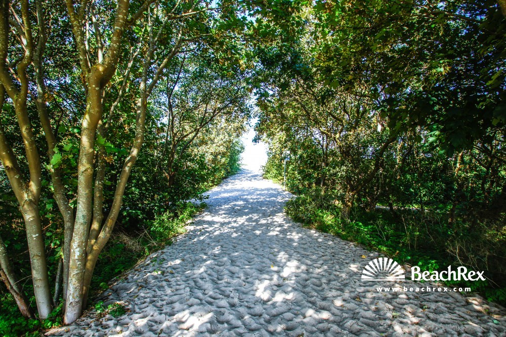 Deutschland - MecklenburgVorpommern -  Ahrenshoop - Strand Ahrenshoop