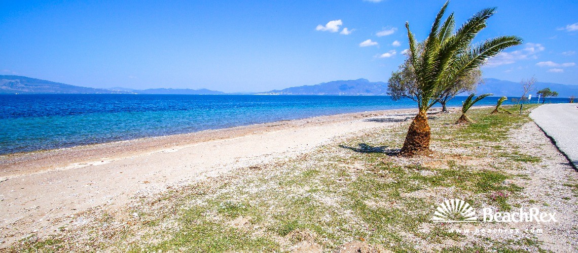 Greece - Sterea Ellada -  Arkitsa - Paralia Souvala Arkitsa