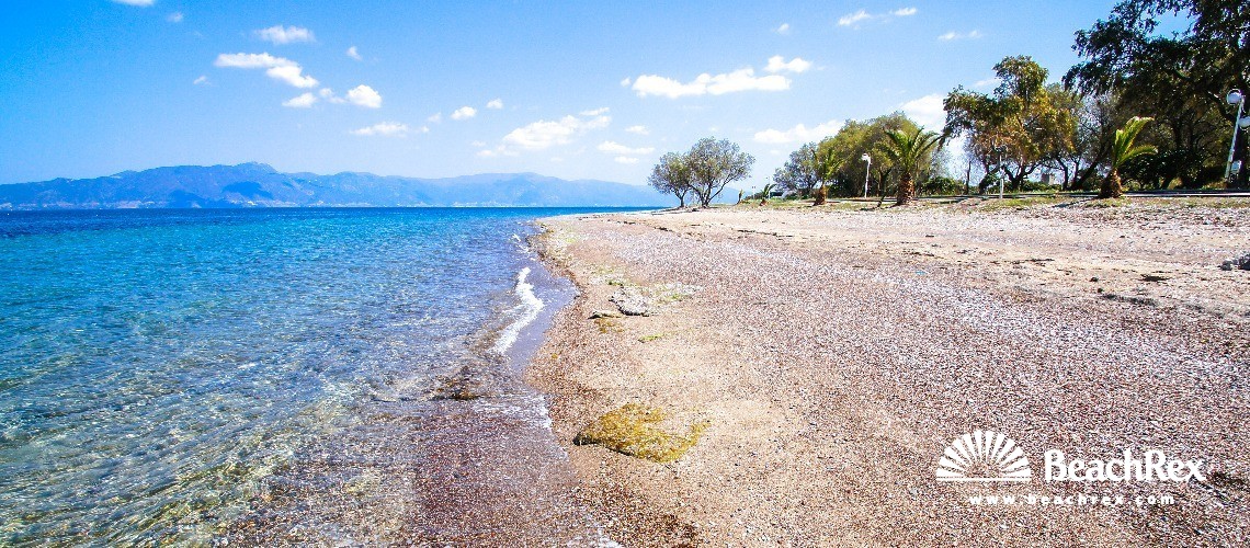 Grecia - Sterea Ellada -  Arkitsa - Paralia Souvala Arkitsa
