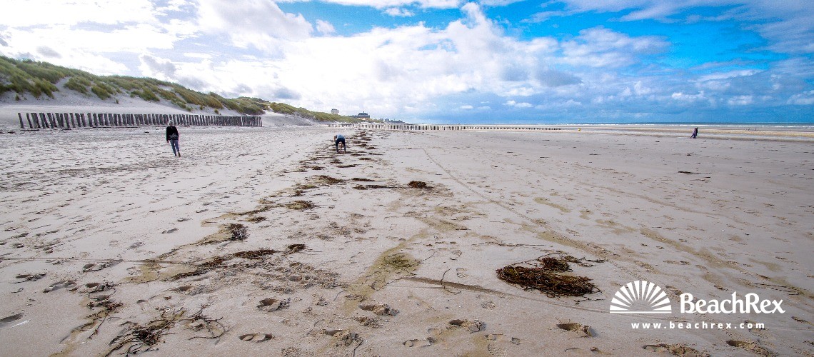 Frankreich - HautsdeFrance -  Berck - Plage de Terminus