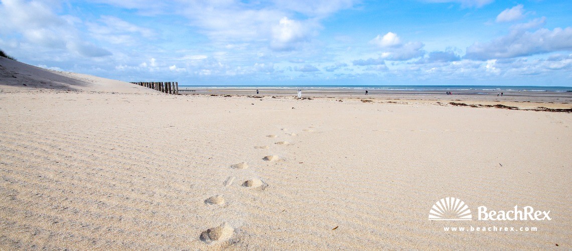 Frankreich - HautsdeFrance -  Berck - Plage de Terminus