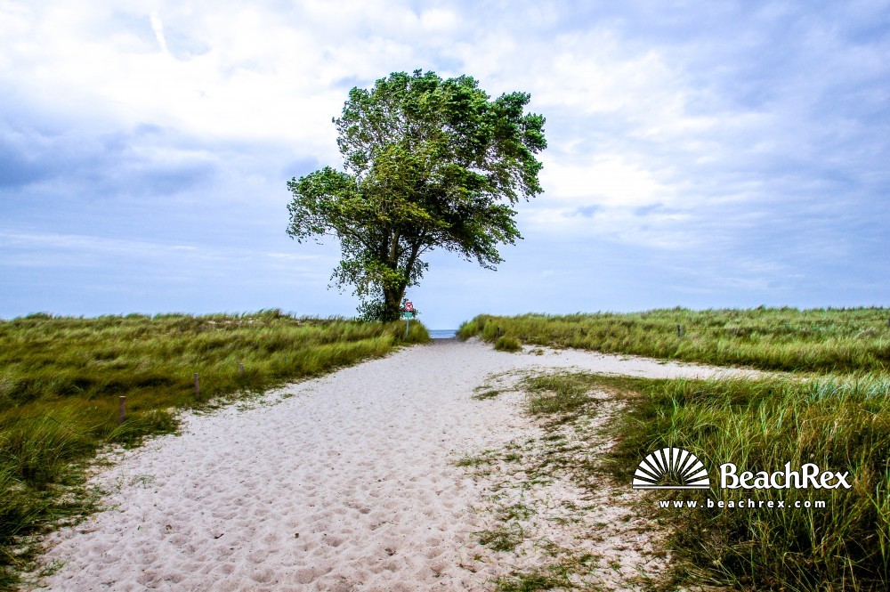 Deutschland - SchleswigHolstein -  Blekendorf - Strand Sehlendorf