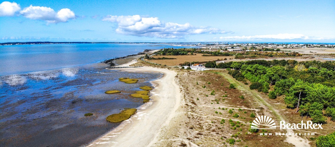 France - NouvelleAquitaine -  Bourcefranc-le-Chapus - Plage de Marennes