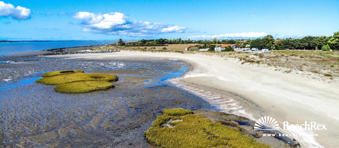 France - NouvelleAquitaine -  Bourcefranc-le-Chapus - Plage de Marennes