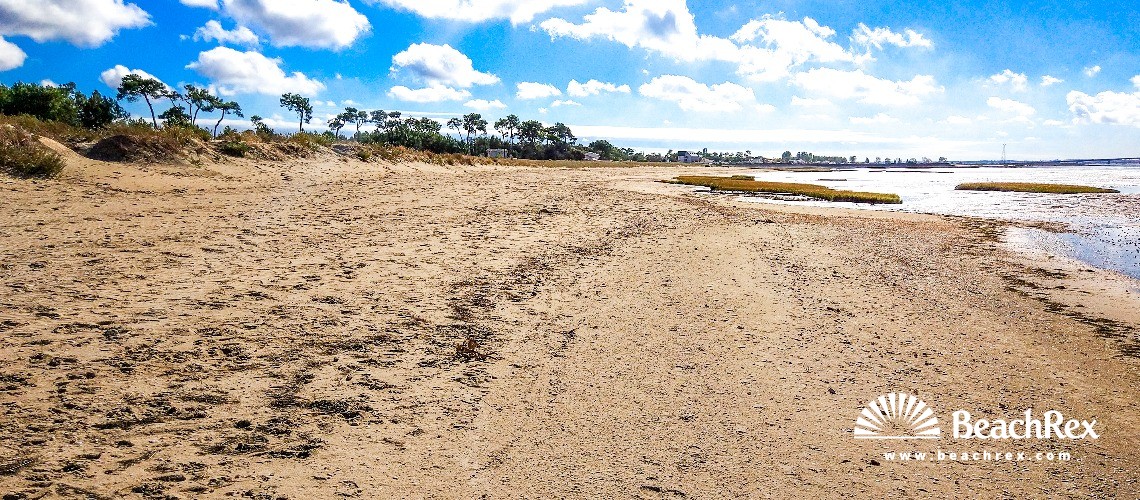 France - NouvelleAquitaine -  Bourcefranc-le-Chapus - Plage de Marennes