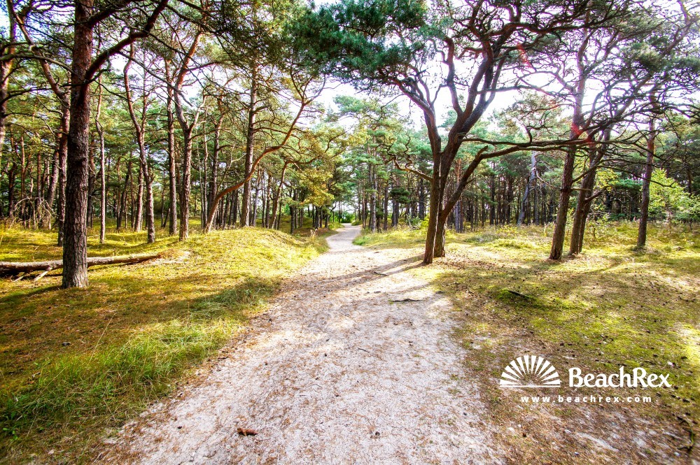 Germany - MecklenburgVorpommern - Rügen -  Breege - Strand Breege Ost