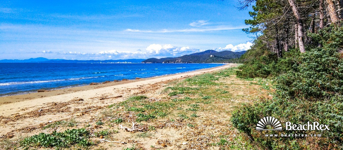 Italien - Toscana -  Castiglione della Pescaia - Strand Capo Civinini