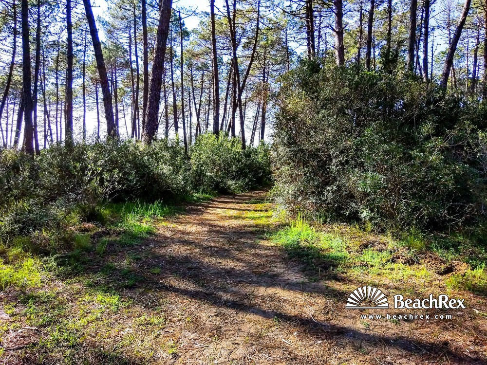 Italien - Toscana -  Castiglione della Pescaia - Strand Capo Civinini