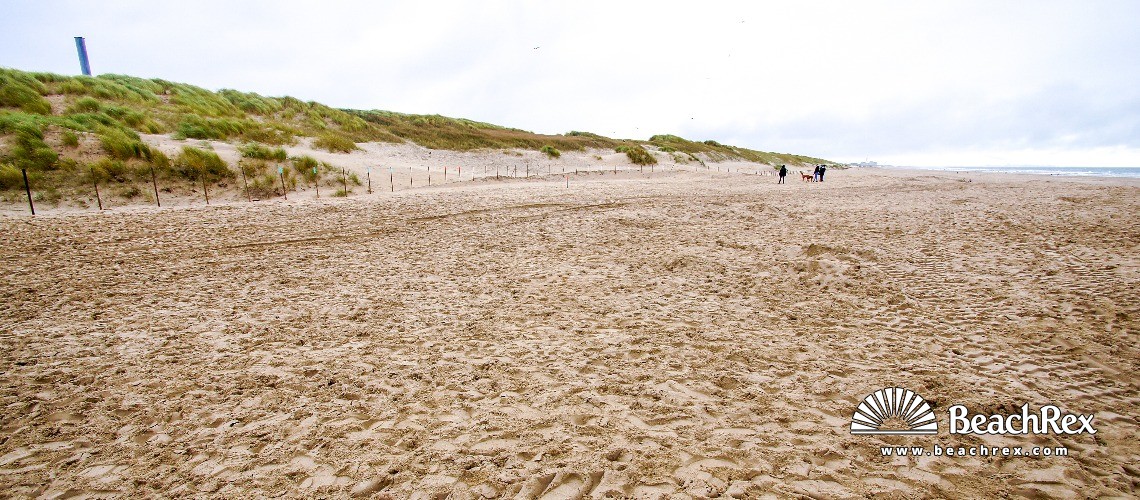Netherlands - ZuidHolland -  Den Haag - Zuiderstrand 12