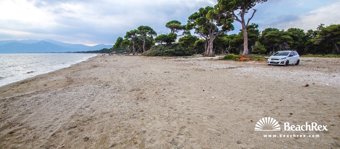 Grecia - Attiki -  Dikastika - Paralia Schoiniá