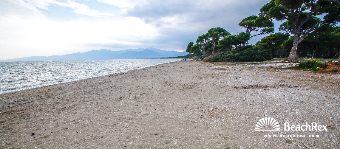 Grecia - Attiki -  Dikastika - Paralia Schoiniá