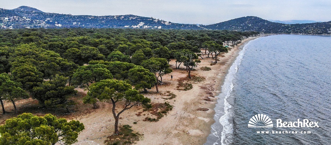 Greece - Attiki -  Dikastika - Paralia Schoiniá