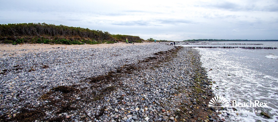 Deutschland - MecklenburgVorpommern - Rügen -  Dranske - Strand Dranske