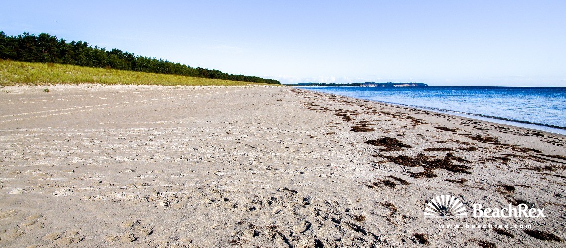 Deutschland - MecklenburgVorpommern - Rügen -  Gager - Strand Gager
