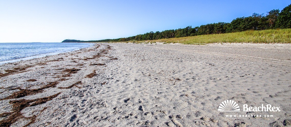 Deutschland - MecklenburgVorpommern - Rügen -  Gager - Strand Gager
