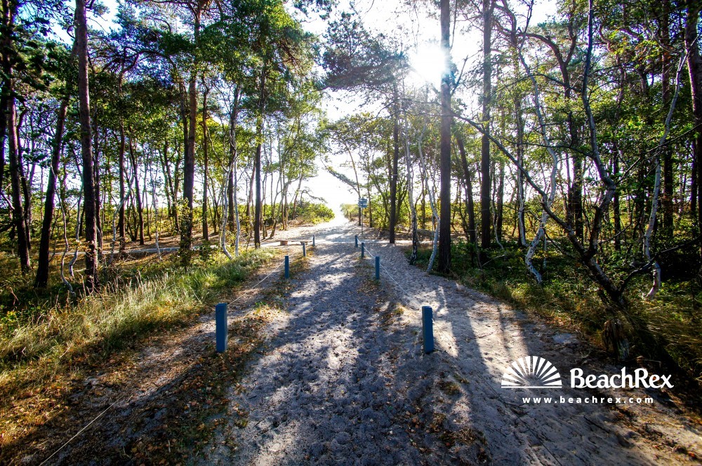 Deutschland - MecklenburgVorpommern - Rügen -  Gager - Strand Gager