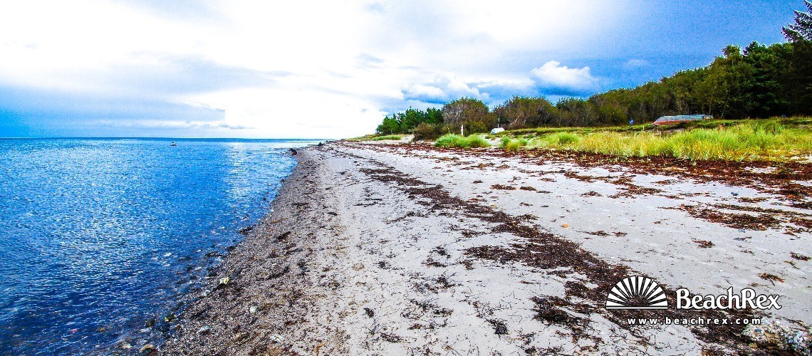 Denmark - Midtjylland -  Glesborg - Strand Bøsholmstein