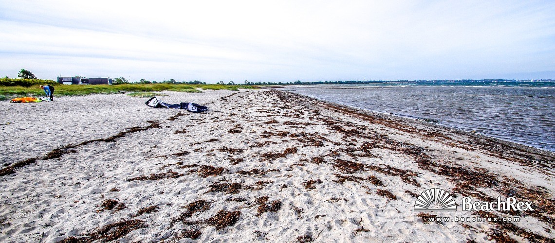 Germany - SchleswigHolstein -  Großenbrode - Strand Orthfeld