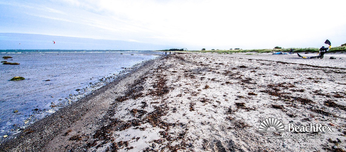 Germany - SchleswigHolstein -  Großenbrode - Strand Orthfeld