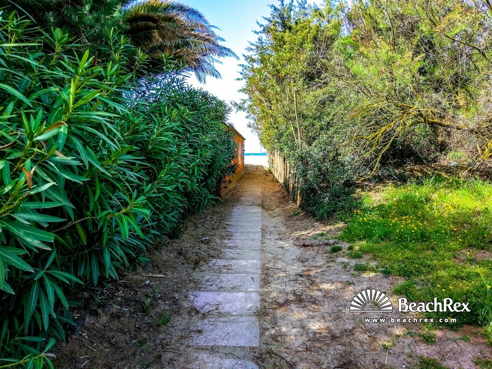 Italia - Toscana -  Grosseto - Spiaggia Principina a Mare