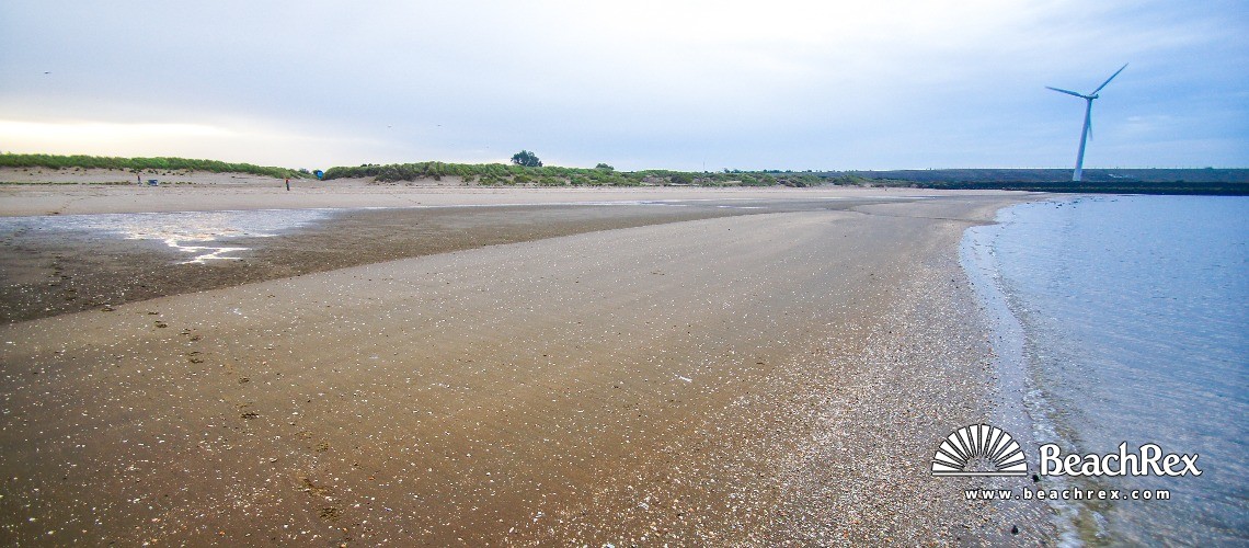 Netherlands - ZuidHolland -  Hellevoetsluis - Strand Haringvlietsluizen