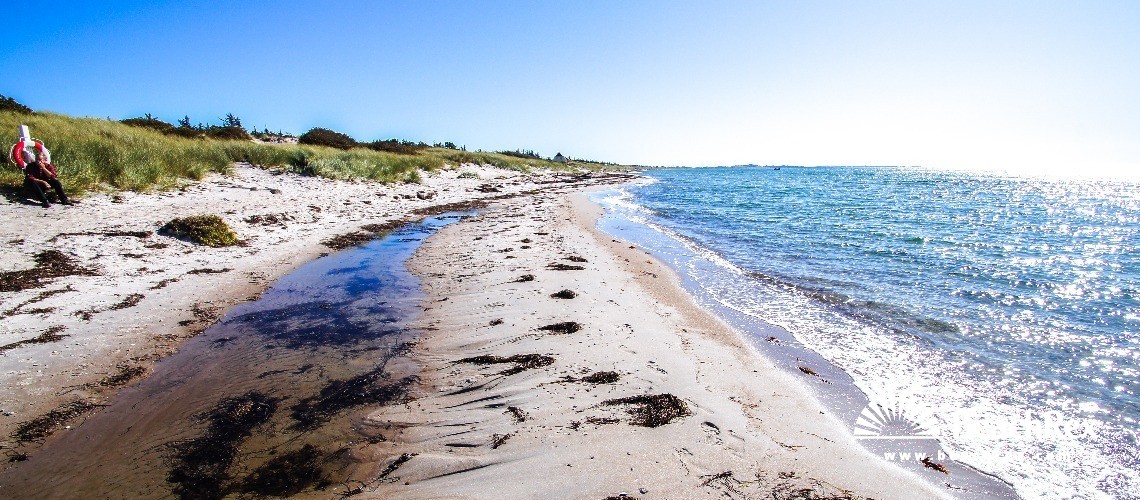 Danimarca - Syddanmark - Langeland -  Humble - Strand Bjørnehøj