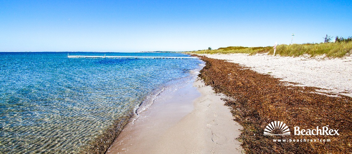 Denmark - Syddanmark - Langeland -  Humble - Strand Hesselbjerg
