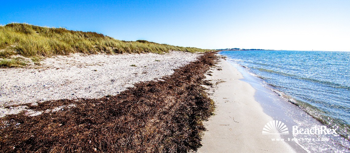 Denmark - Syddanmark - Langeland -  Humble - Strand Hesselbjerg