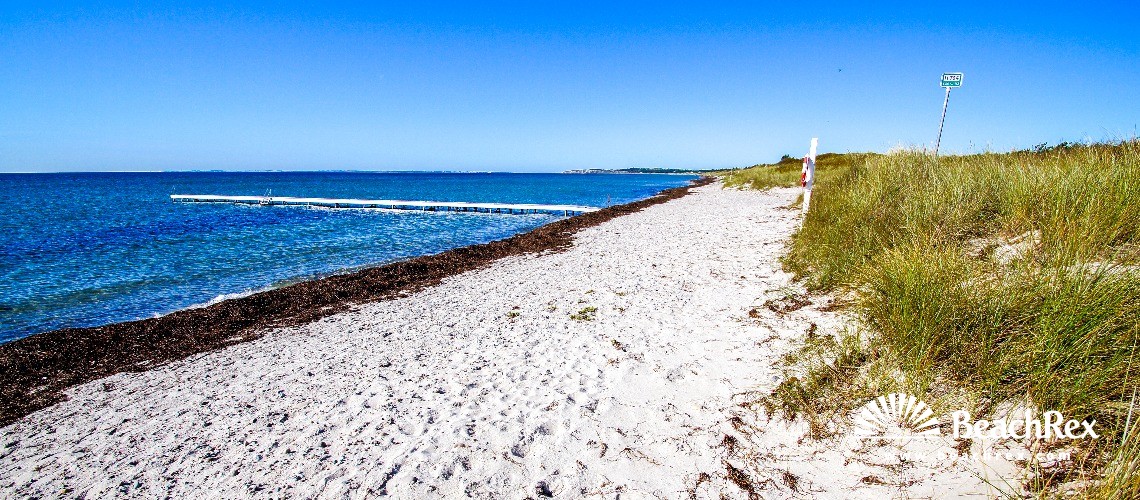 Denmark - Syddanmark - Langeland -  Humble - Strand Hesselbjerg