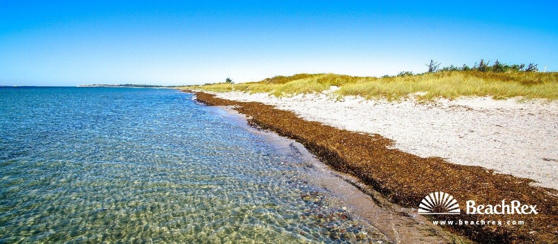 Denmark - Syddanmark - Langeland -  Humble - Strand Hesselbjerg