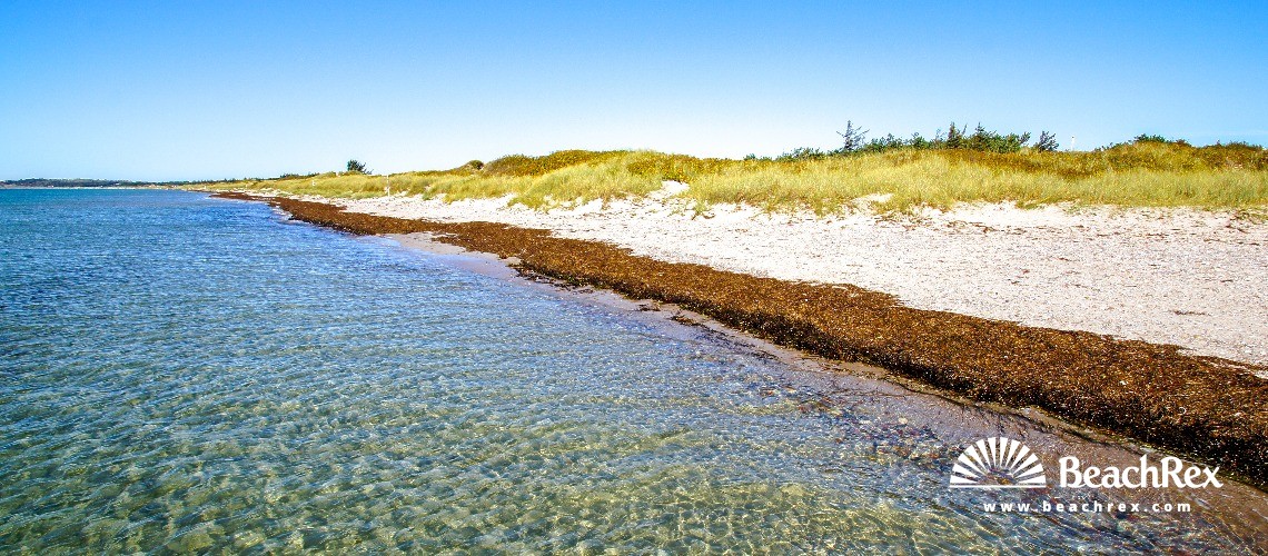 Denmark - Syddanmark - Langeland -  Humble - Strand Hesselbjerg