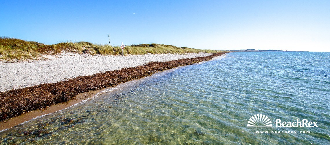 Denmark - Syddanmark - Langeland -  Humble - Strand Hesselbjerg
