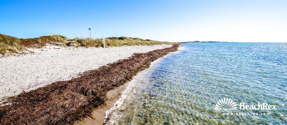 Denmark - Syddanmark - Langeland -  Humble - Strand Hesselbjerg