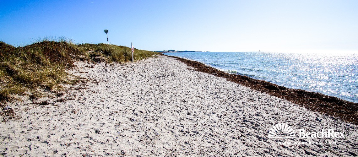 Denmark - Syddanmark - Langeland -  Humble - Strand Hesselbjerg