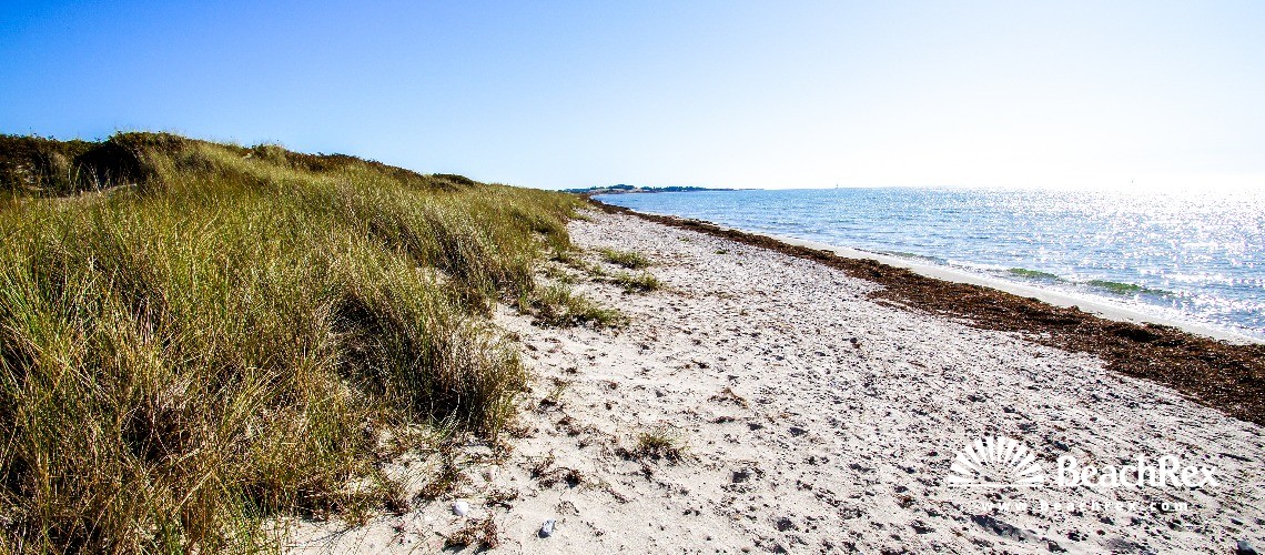 Denmark - Syddanmark - Langeland -  Humble - Strand Hesselbjerg