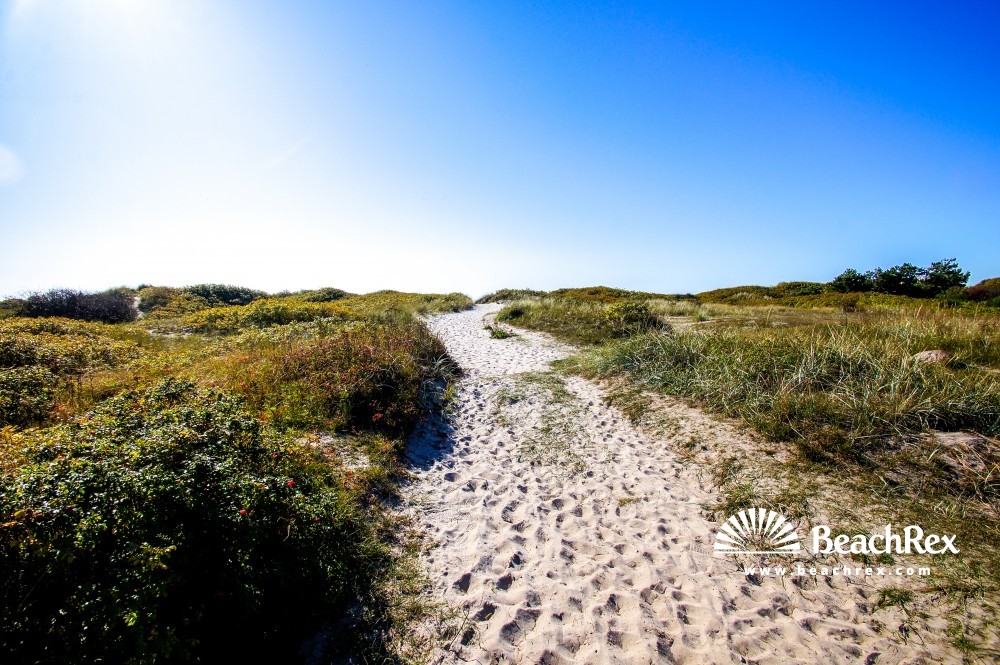 Denmark - Syddanmark - Langeland -  Humble - Strand Hesselbjerg