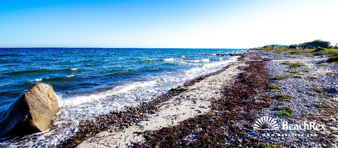 Denmark - Syddanmark - Langeland -  Humble - Strand Østerskov