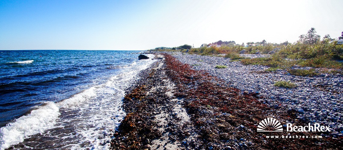 Denmark - Syddanmark - Langeland -  Humble - Strand Østerskov