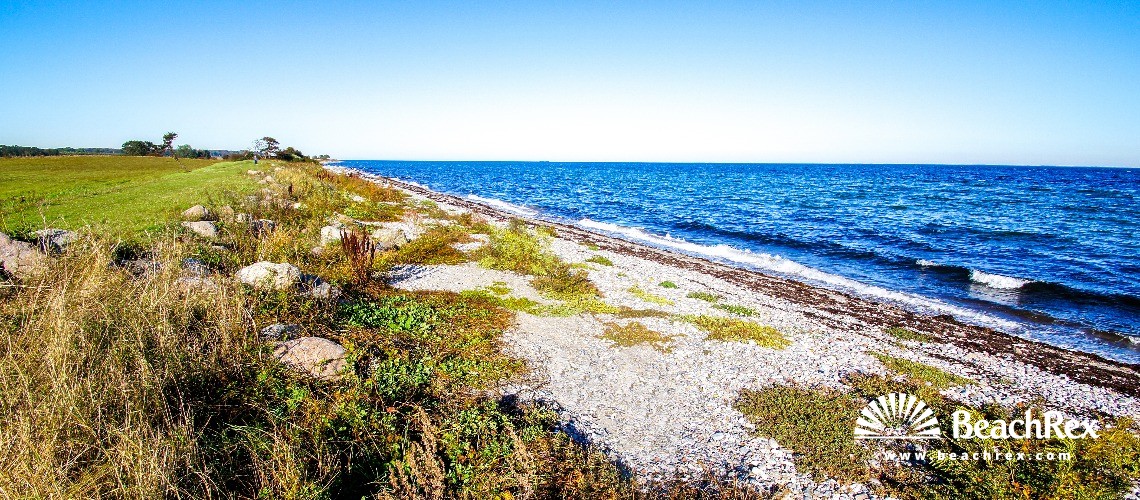 Denmark - Syddanmark - Langeland -  Humble - Strand Østerskov