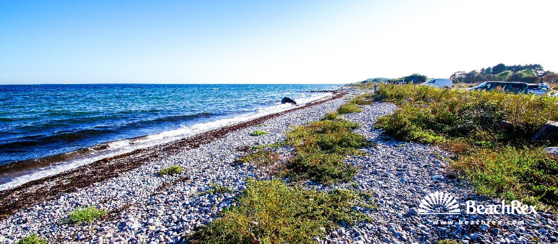 Denmark - Syddanmark - Langeland -  Humble - Strand Østerskov