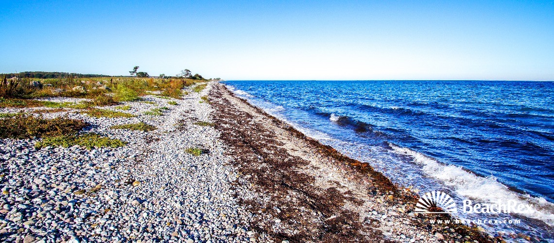 Denmark - Syddanmark - Langeland -  Humble - Strand Østerskov