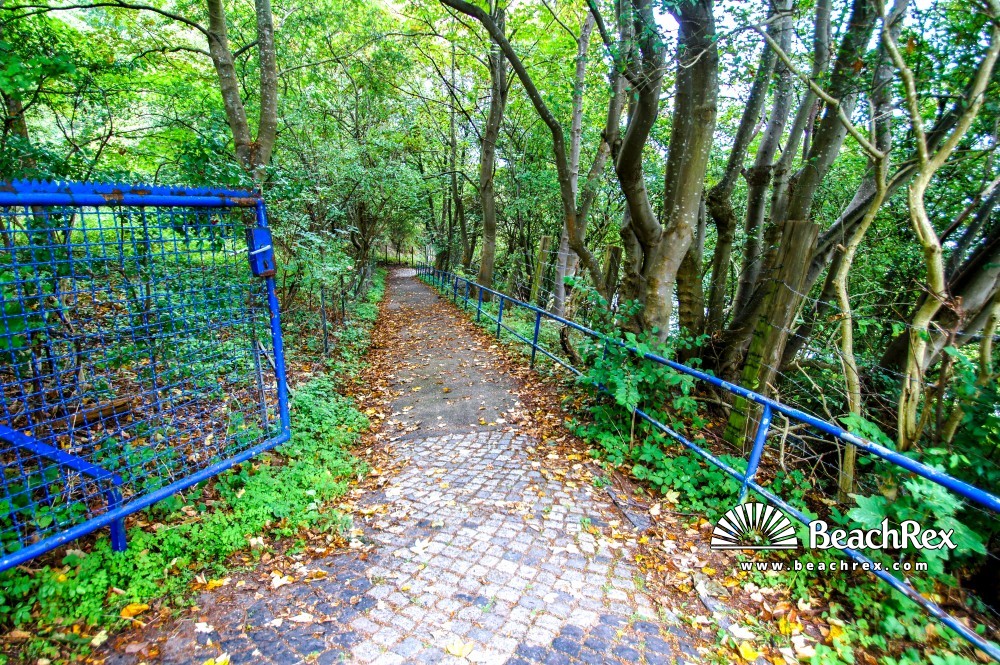 Deutschland - SchleswigHolstein -  Kiel - Strand Falckenstein