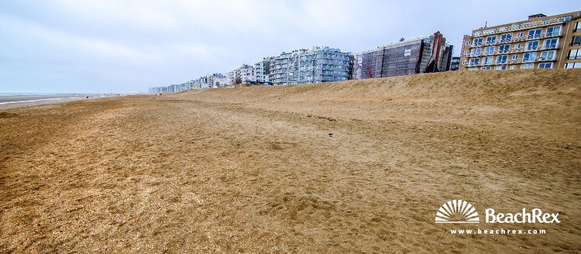 Belgium - WestVlaanderen -  Koksijde - Strand Sint-Idesbald